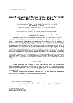Laser Microirradiation of Chinese Hamster Cells at Wavelength 365