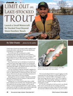 Limit Out on Lake-Stocked Trout