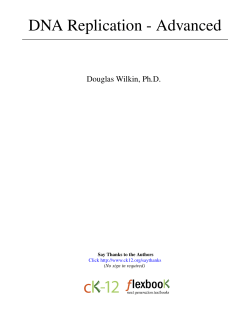 DNA Replication - Advanced