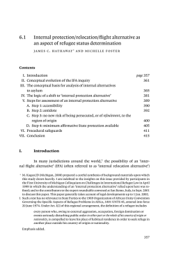 6.1 Internal protection/relocation/flight alternative as an