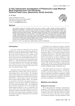 In Situ Taphonomic Investigation of Pleistocene Large Mammal