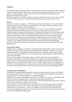 Linseed - Green Cuisine Trust