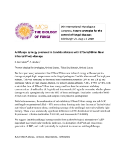 Antifungal synergy produced in Candida albicans