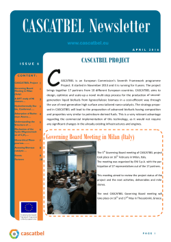 Newsletter Issue 6