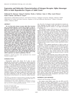 Expression and Molecular Characterization of Estrogen Receptor