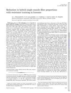 Reduction in hybrid single muscle fiber proportions with resistance