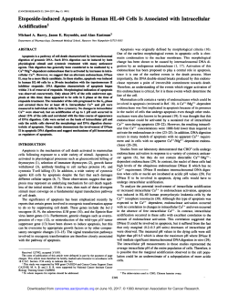 Etoposide-induced Apoptosis in Human HL-60