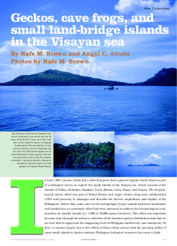 Geckos, cave frogs, and small land-bridge islands in the Visayan sea