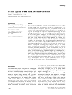 Sexual Signals of the Male American Goldfinch