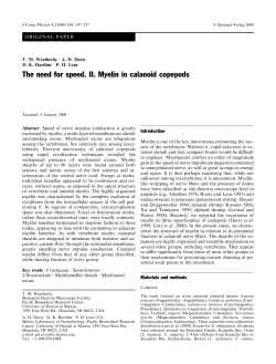 The need for speed. II. Myelin in calanoid copepods