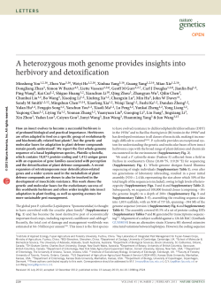A heterozygous moth genome provides insights into