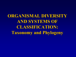 ORGANISMAL DIVERSITY AND SYSTEMS OF CLASSIFICATION