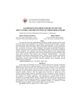 aggressiveness behaviours of soccer spectators