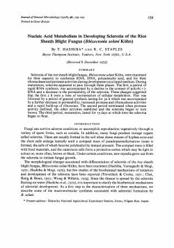 Nucleic Acid Metabolism in Developing Sclerotia of