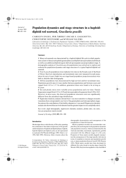 Population dynamics and stage structure in a haploid