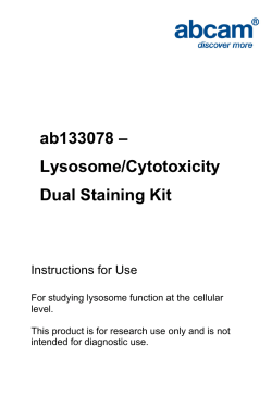 ab133078 &ndash; Lysosome/Cytotoxicity Dual Staining Kit