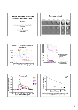 Example stimuli - University of St Andrews