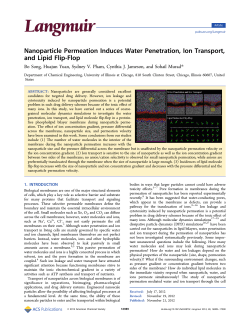 Nanoparticle Permeation Induces Water Penetration, Ion Transport