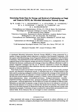 Structuring Strain Data for Storage and Retrieval of