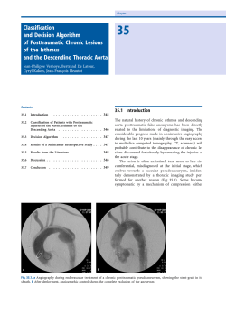 Classification and Decision Algorithm of Posttraumatic Chronic