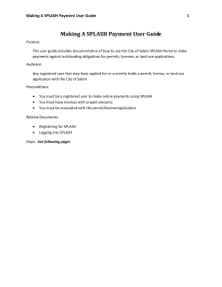 SPLASH Payment User Guide - SPLASH (Salem Permit, License