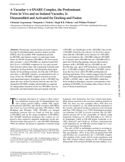 A Vacuolar v&ndash;t-SNARE Complex, the Predominant Form In Vivo and