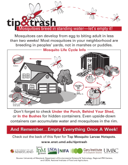 Mosquitoes breed in standing water―let`s empty it! And Remember