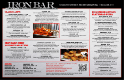 CLASSIC APP`S HOMEMADE ARTISAN FLATBREAD