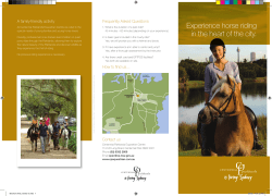 Experience horse riding in the heart of the city.