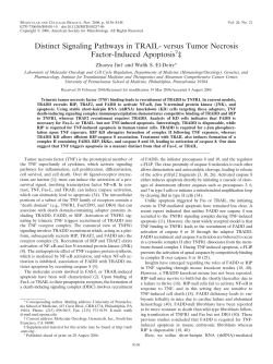 Distinct Signaling Pathways in TRAIL