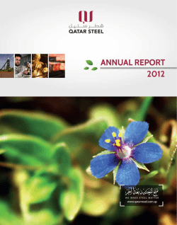 Annual Report 2012