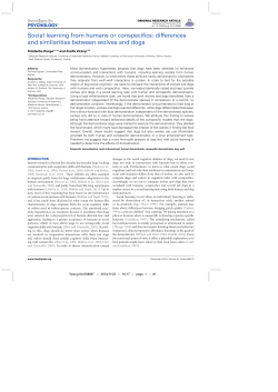 Social learning from humans or conspecifics: differences and