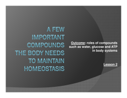 A Few Important Compounds the Body Needs to