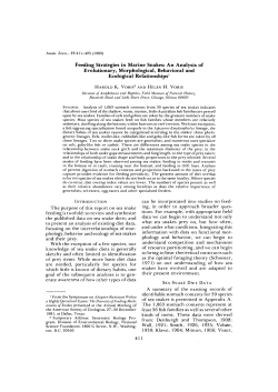 Feeding Strategies in Marine Snakes: An