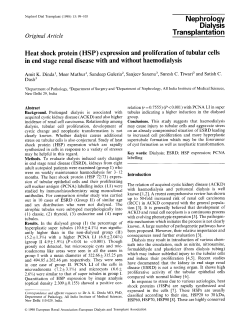 Heat shock protein (HSP) expression and proliferation of tubular