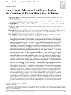 Does despotic behavior or food search explain the occurrence of