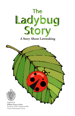 Ladybug Story Ladybug Story - Secretary of the Commonwealth