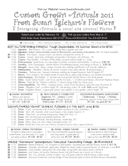 Custom Grown Annuals 2011 From Susan