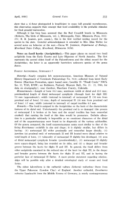 Notes on Fossil Hawks (Accipitridae)
