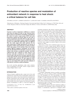 Production of reactive species and modulation of antioxidant