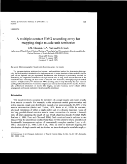A multiple-contact EMG recording array for mapping single muscle