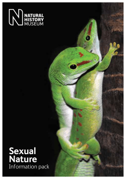 Sexual Nature exhibition information pack