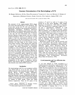 Structure Determination of the Bacteriophage ~oX174