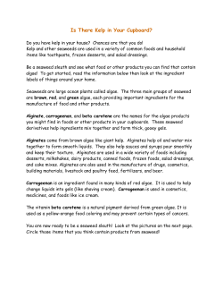 Is there kelp in your cupboard clues