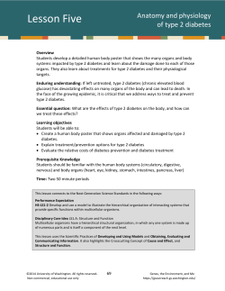 Lesson Five: Anatomy and physiology of type 2 diabetes