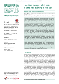 Long-tailed macaques select mass of stone tools