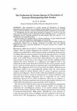 The Production. by Certain Species of Clostridiurn of Enzymes