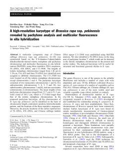 A high-resolution karyotype of Brassica rapa ssp. pekinensis
