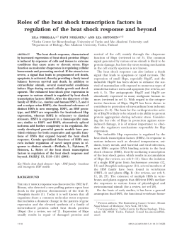 Roles of the heat shock transcription factors in regulation of