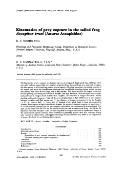 Kinematics of prey capture in the tailed frog